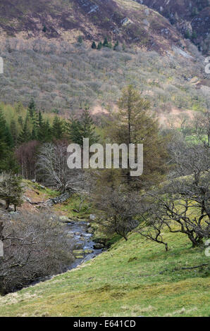 Rhiwargor, in der Nähe von Lake Vyrnwy, Montgomeryshire, Powys, Wales Stockfoto