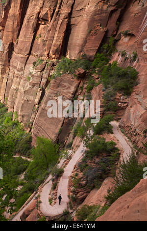 Wanderer erklimmen Zick-Zack-Kurs aus Zion Canyon West Rim Trail und Angels Landing Track, Zion Nationalpark, Utah, USA Stockfoto