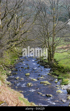 Rhiwargor, in der Nähe von Lake Vyrnwy, Montgomeryshire, Powys, Wales Stockfoto