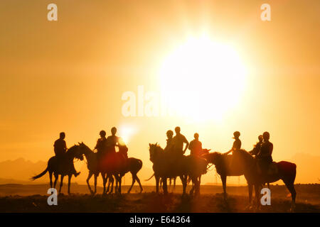 Arabisches Pferd. Gruppe von Fahrern in der Wüste bei Sonnenuntergang. Ägypten Stockfoto