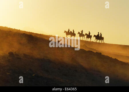 Arabisches Pferd. Gruppe von Fahrern in der Wüste bei Sonnenuntergang. Ägypten Stockfoto