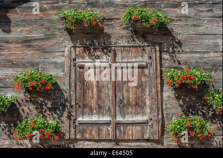 Hölzerne Scheunentor dekoriert mit Blumen in den Schweizer Alpen Dorf Saas-Grund Stockfoto