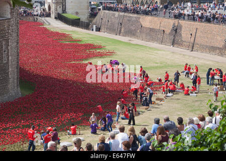 Menschenmassen beobachten freiwillige "Einpflanzen" Gedenk Keramik Mohnblumen in den Tower of London Graben, August 2014 Stockfoto