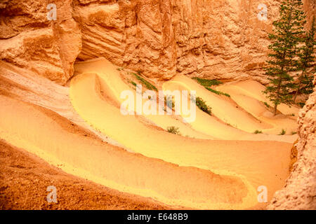 Ein Sommer-Gewitter sendet Wasser kaskadenförmig die steilen Serpentinen auf Navajo Loop Trail in Bryce-Canyon-Nationalpark in Utah. Stockfoto