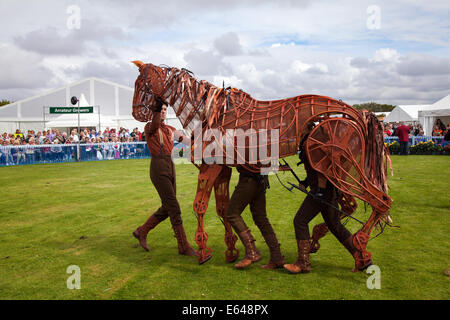 Southport, Merseyside, England. 14. August 2014. Haudegen Marionette Joey Pferd namens Joey, an Großbritanniens größte unabhängige Blumenschau, der seinen 85. Jahr feiert.  Handspring Puppet Company brachte lebensgroße Galopp, ausgewachsenen Pferd Puppe zum Leben in der Arena Showground Credit: Mar Photographics/Alamy Live News. Stockfoto