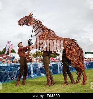 Southport, Merseyside, UK. 14. August 2014. Haudegen Marionette Pferd namens Joey, Großbritanniens größte unabhängige Flower Show, die 85 Jahr Feier. Handspring Puppet Company brachte Lebensgroße galoppierend, full-scale Pferd Puppe in der showground Arena Stockfoto