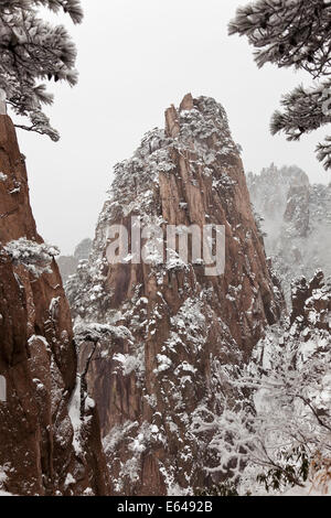 Schnee, Huangshan oder gelben Bergen, Provinz Anhui, China Stockfoto