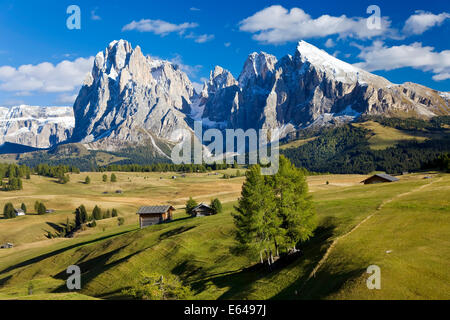 Italien, Italia Trentino-Alto Adige, South Tyrol Bozen Viertel Alpe di Siusi, Seiser Alm Stockfoto