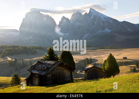 Berghütten Italien Italia Trentino-Alto Adige South Tyrol Bozen Viertel Alpe di Siusi Seiser Alm Langkofel (Langkofel) Stockfoto