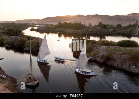 Feluke Segelboote auf Nil, Assuan, Ägypten Stockfoto