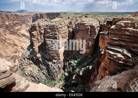 Überblick über die Little Colorado River Gorge. Arizona, USA. Stockfoto