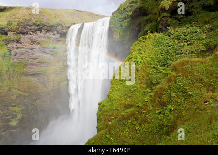 Skogafoss Wasserfall, Südküste, Island Stockfoto