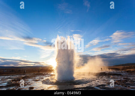 Strokkur (Butterfass), Geysir, Golden Circle, Island Stockfoto