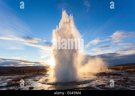 Strokkur (Butterfass), Geysir, Golden Circle, Island Stockfoto