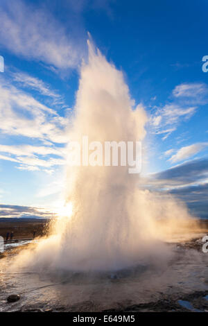 Strokkur (Butterfass), Geysir, Golden Circle, Island Stockfoto