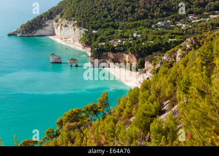 Blick auf die Bucht, Vieste, Gargano, Foggia Stadtteil, Apulien, Puglia, Italien Stockfoto