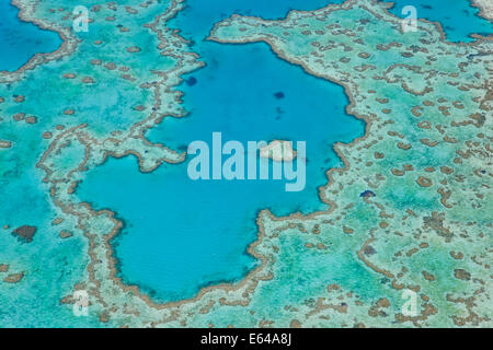 Luftaufnahme des Heart Reef, Teil des Great Barrier Reef, Queensland, Australien Stockfoto