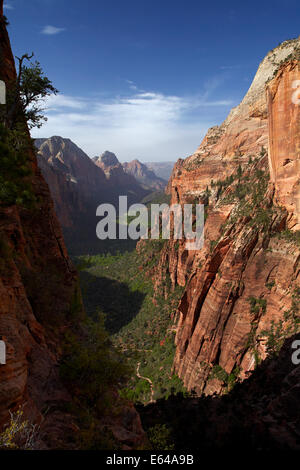 Blickte Zion Canyon von Angels Landing Track, Zion Nationalpark, Utah, USA Stockfoto