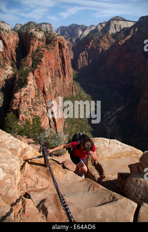 Wanderer auf schmalen steilen Angels Landing Track und Zion Canyon 1000ft / 305m tiefer, Zion Nationalpark, Utah, USA Stockfoto