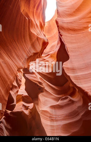 Erodiert rote Steine im Lower Antelope Canyon. Seite, Arizona, USA. Stockfoto