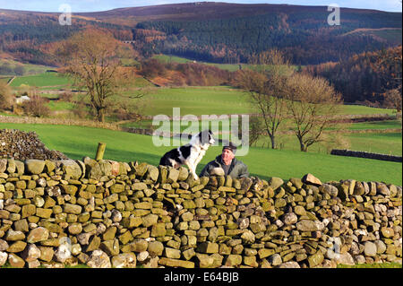 Schafzüchter mit seinem Hund auf eine Trockensteinmauer Yorkshire Dales. Stockfoto