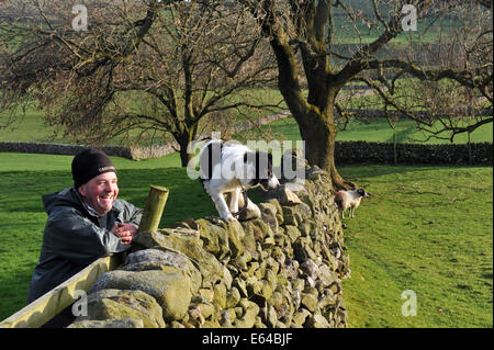 Schafzüchter mit seinem Hund auf eine Trockensteinmauer Yorkshire Dales. Stockfoto