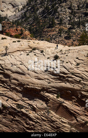 Wanderer am West Rim Trail, Zion Nationalpark, Utah, USA Stockfoto