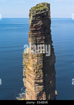 dh Old man of Hoy HOY ORKNEY Kletterer klettern berühmten roten Sandstein Meer Felsen schottland Stockfoto