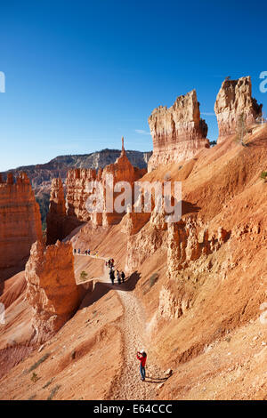 Touristen wandern auf einem Pfad im Bryce Canyon. Utah, USA. Stockfoto