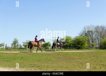 Zwei Jungen Reitern, Frauen reiten Pferde in einem ruhigen Teil von Moses Gate Country Park, Farnworth, Lancashire an einem sonnigen Frühlingstag. Stockfoto