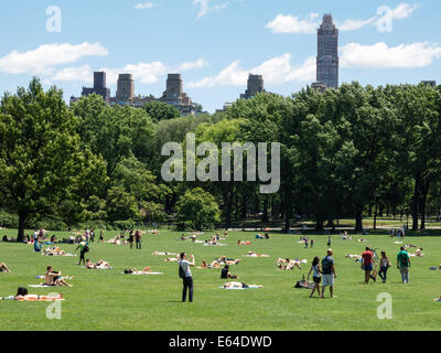 Der Schaf-Wiese mit Skyline in Hintergrund, Central Park, New York Stockfoto
