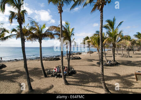 Palmen Baum auf sandigen Strand Lanzarote Kanaren Insel Kanaren Arrecife Stockfoto