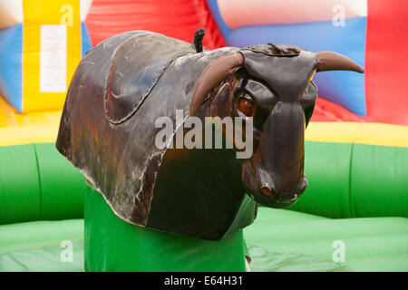 Bull-Fahrt Stockfoto