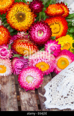 Bouquet von Strohblumen auf Tisch Stockfoto