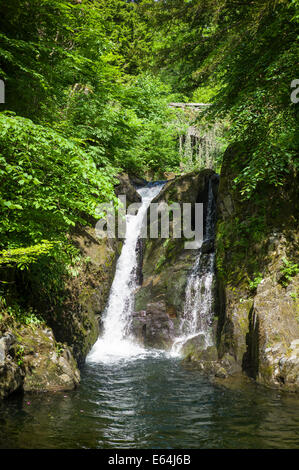 Grot in Cumbria UK Stockfoto