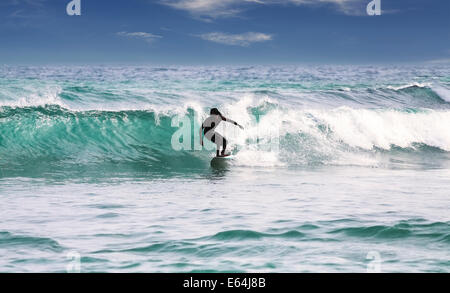 Silhouette eines Surfers auf Wellen am berühmten Strand in Sri Lanka. Stockfoto