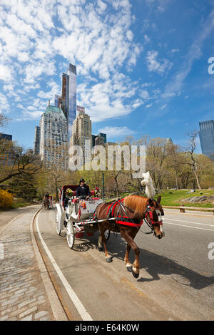 Traditionelle Pferdekutsche im Central Park. Manhattan, New York, USA. Stockfoto