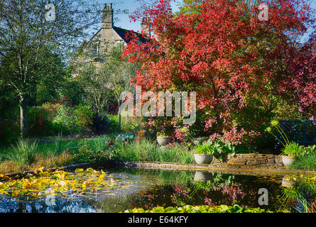 Die Gerichte Garten mit Pool und Cotinus Bäume im Herbst Stockfoto