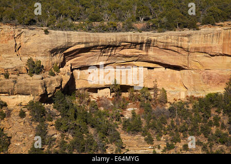 Cliff Dwellings in Cliff Canyon, Mesa Verde Nationalpark (UNESCO-Weltkulturerbe), Colorado, USA Stockfoto