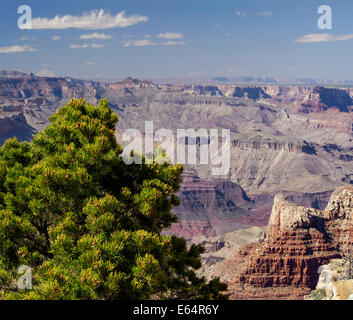 Grand Canyon South Rim Blick von Pipe Creek Vista, Arizona USA, 2014 malerische Landschaftsfotografie Stockfoto