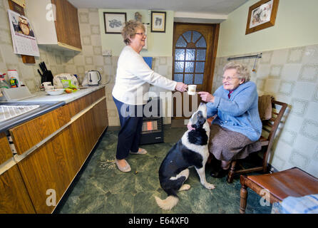 Überschwemmungen auf der Somerset Ebene im Moor - achtzig neun Jahre alten Joan Lang Goddards Farm mit ihrer Tochter Margaret Lock wh Stockfoto