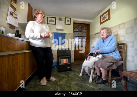 Überschwemmungen auf der Somerset Ebene im Moor - achtzig neun Jahre alten Joan Lang Goddards Farm mit ihrer Tochter Margaret Lock wh Stockfoto