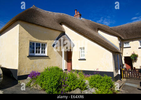 Beeindruckende alte Reetdachhaus in kleinen ländlichen Dorf von Drewsteignton. in der Nähe von National Trusts Castle Drogo Devon South West ger Stockfoto