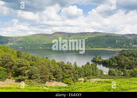 Brandelhow Bay Derwent Water Lake District Cumbria England UK Stockfoto