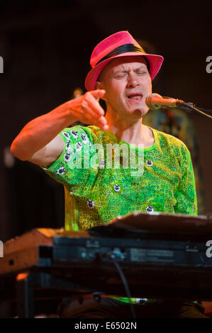 Live Musik-Keyboarder mit Bündeladern 21-köpfigen Big Band auf der Bühne Brecon Jazz Festivals 2014 Stockfoto