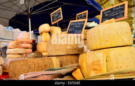 Verschiedene Arten von Käse an einem Marktstand, L'Île-Rousse, Balagne, Korsika, Frankreich Stockfoto