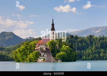 Bleder Insel mit St. Marien Kirche, Lake Bled, Bled, Slowenien Stockfoto