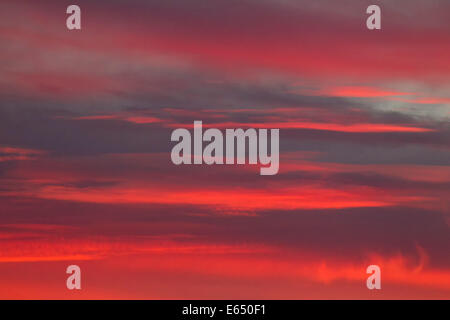 Stratocumulus-Wolken im Abendlicht, Andalusien, Spanien Stockfoto