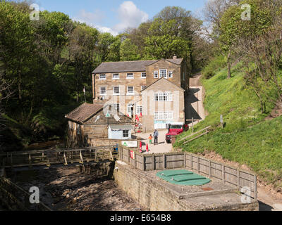 Boggle Loch in der Nähe von Robin Hoods Bay, Küste North Yorkshire, Großbritannien Stockfoto