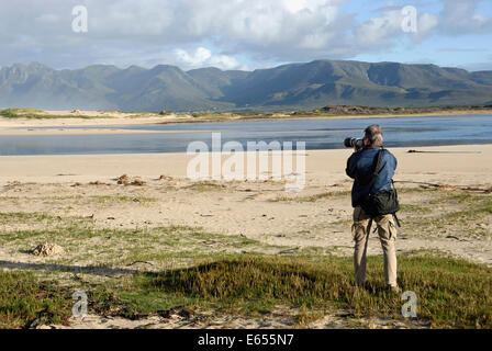 Fotograf bei der Arbeit, Flamingo Lake-Mündung in der Nähe von Hermanus, Südafrika Stockfoto